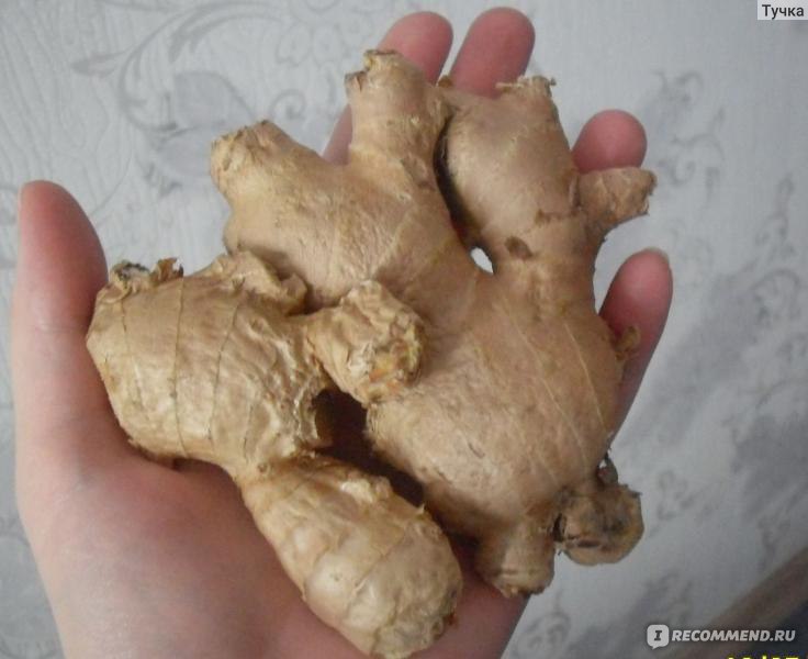 Имбирь и корица: разгон обмена