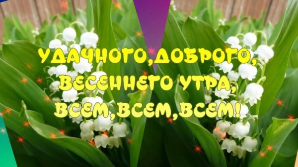 Прогулка после ужина 40 минут
